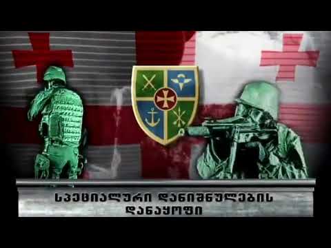 სპეციალური ძალები